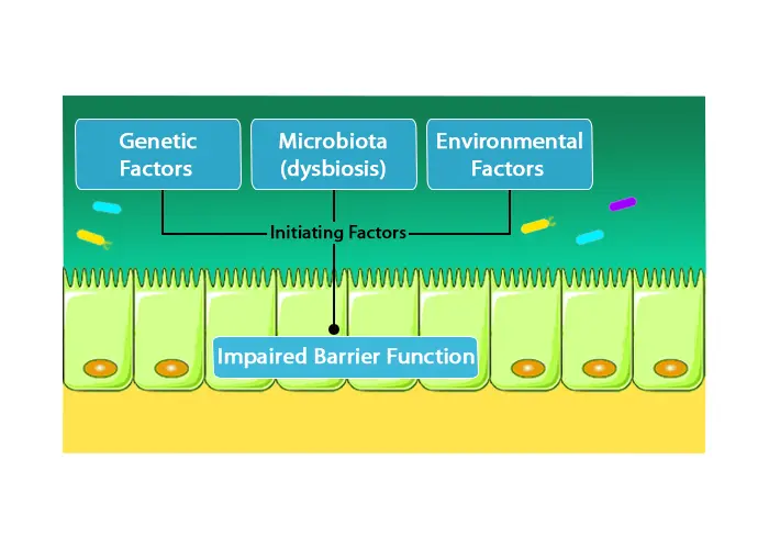Microbiota Biosis