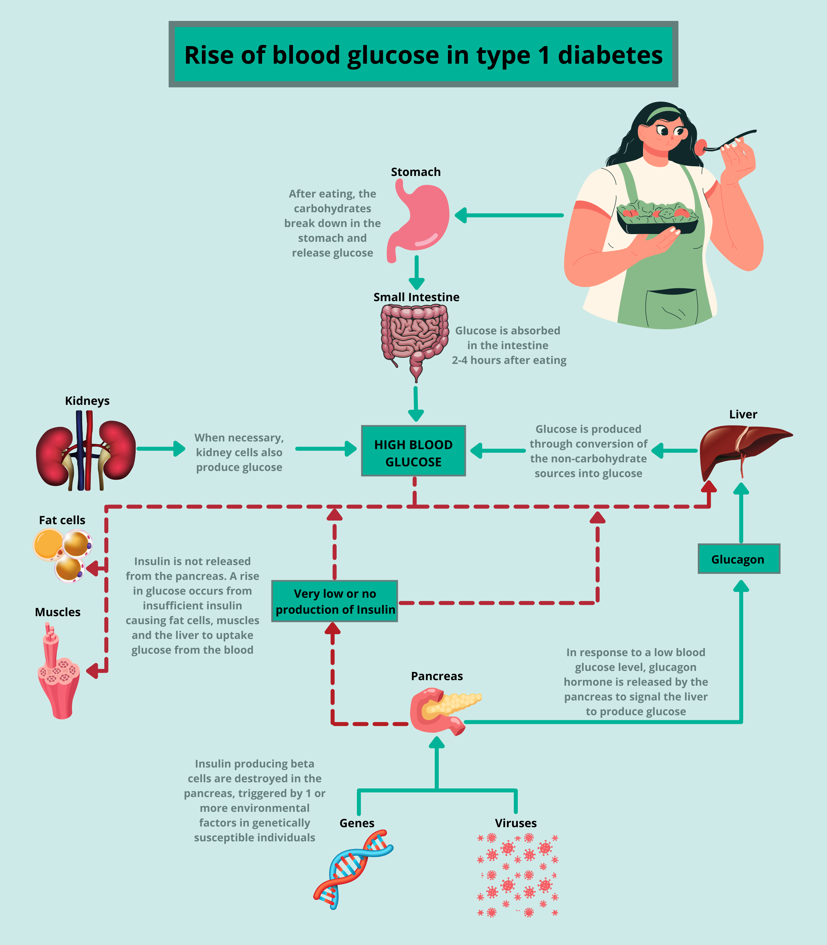 Blood Glucose 2 INFOGRAPHIC