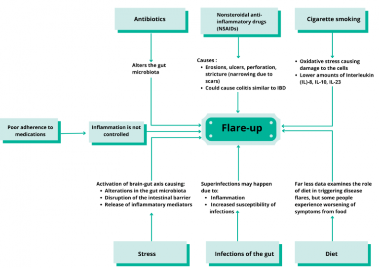 Reasons Why Flare Ups Occur With Ibd Credahealth